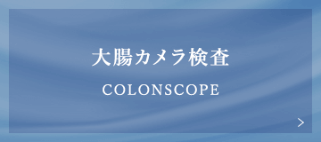 大腸カメラ検査 COLONSCOPE