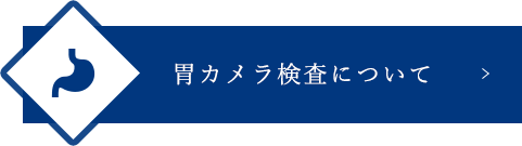 胃カメラ検査について