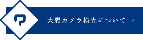 大腸カメラ検査について